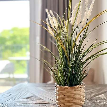 Apartmán Baltischer Hof 59