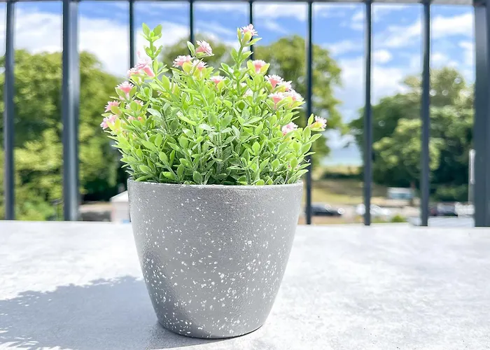 Apartman Baltischer Hof 59 Boltenhagen